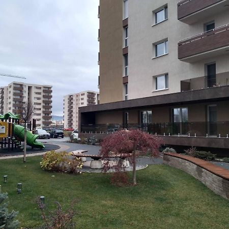 Casa Unchiu' Apartment Brasov Bagian luar foto